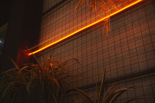 RGB vs RGBW vs Tunable White LED Strips — What's the Difference?