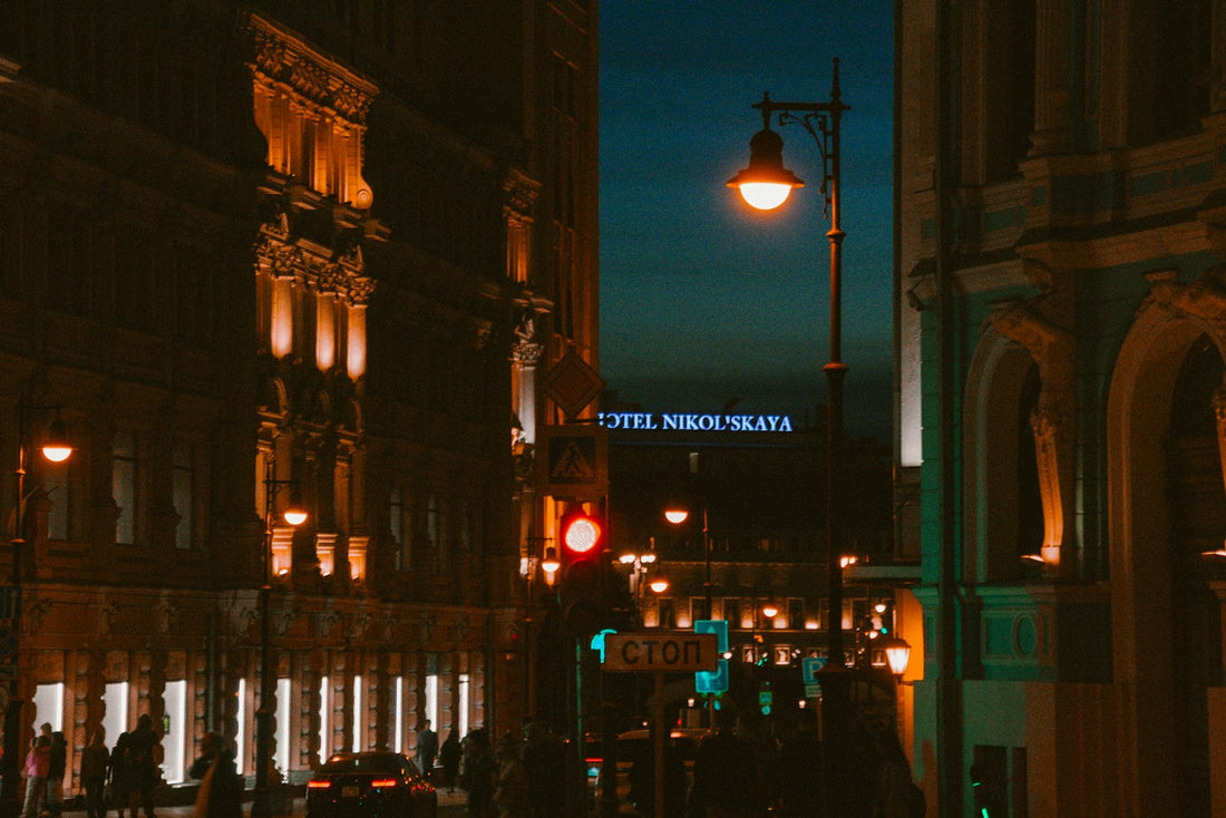 Outdoor Lighting Ideas for Ontario Winters — What Survives -30°C